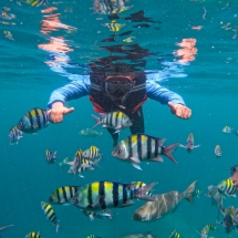 DCIM100GOPROGOPR4847.JPG